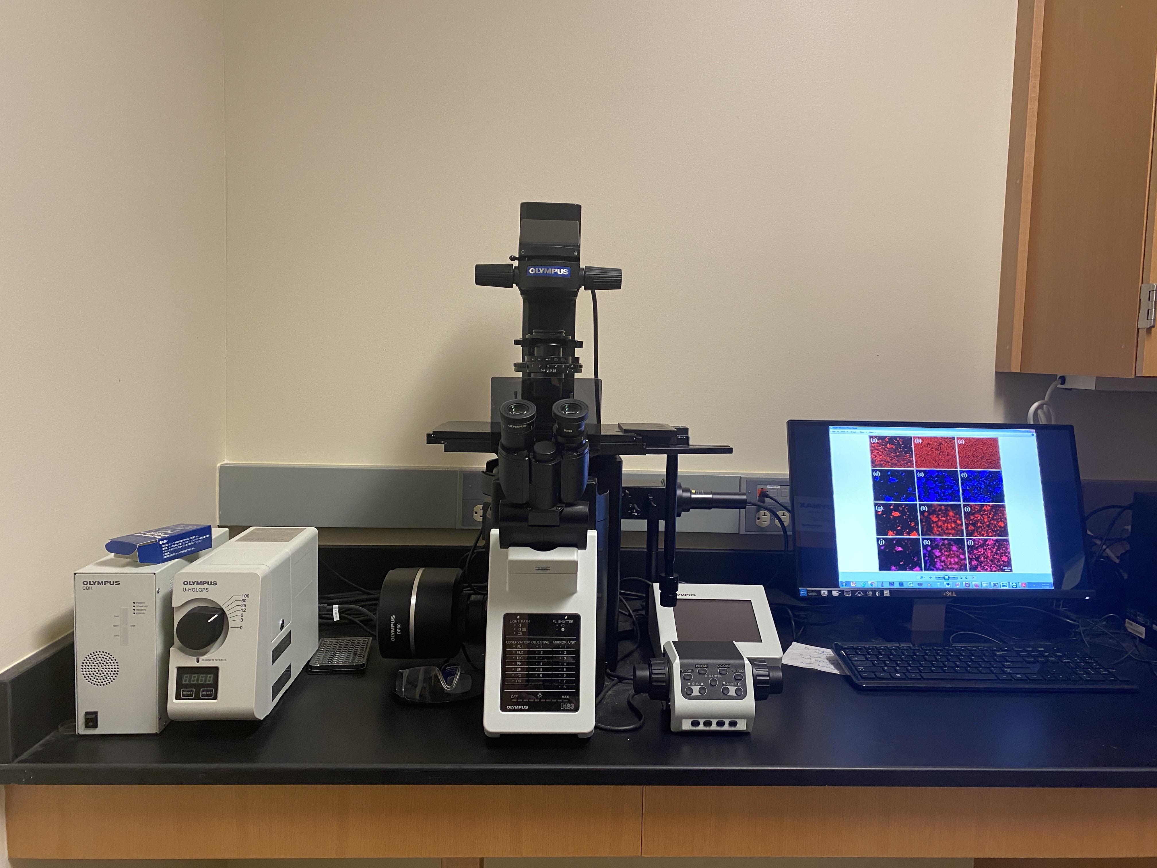 Inverted Fluorescence DIC Microscope